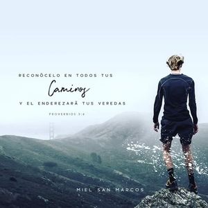 Meet your Posher, Chavez